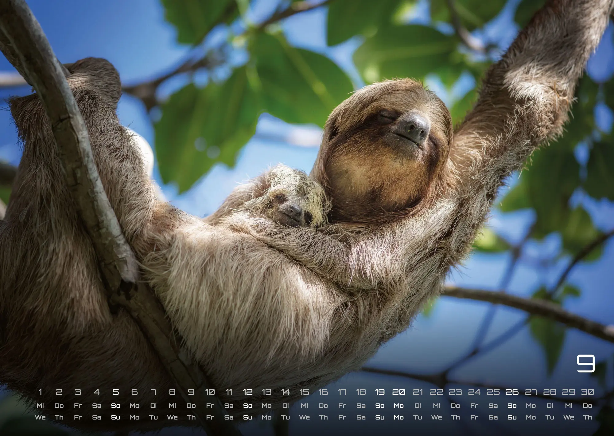 Bild: 9783986737313 | Faultiere - Chill mal! - 2027 - Kalender DIN A2 | GP-Fever. de | 15 S.