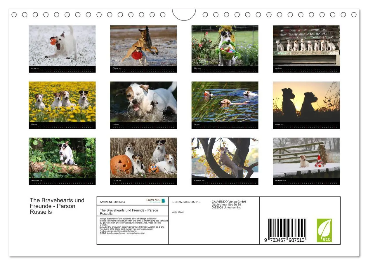Bild: 9783457987513 | The Bravehearts und Freunde - Parson Russells (Wandkalender 2026...