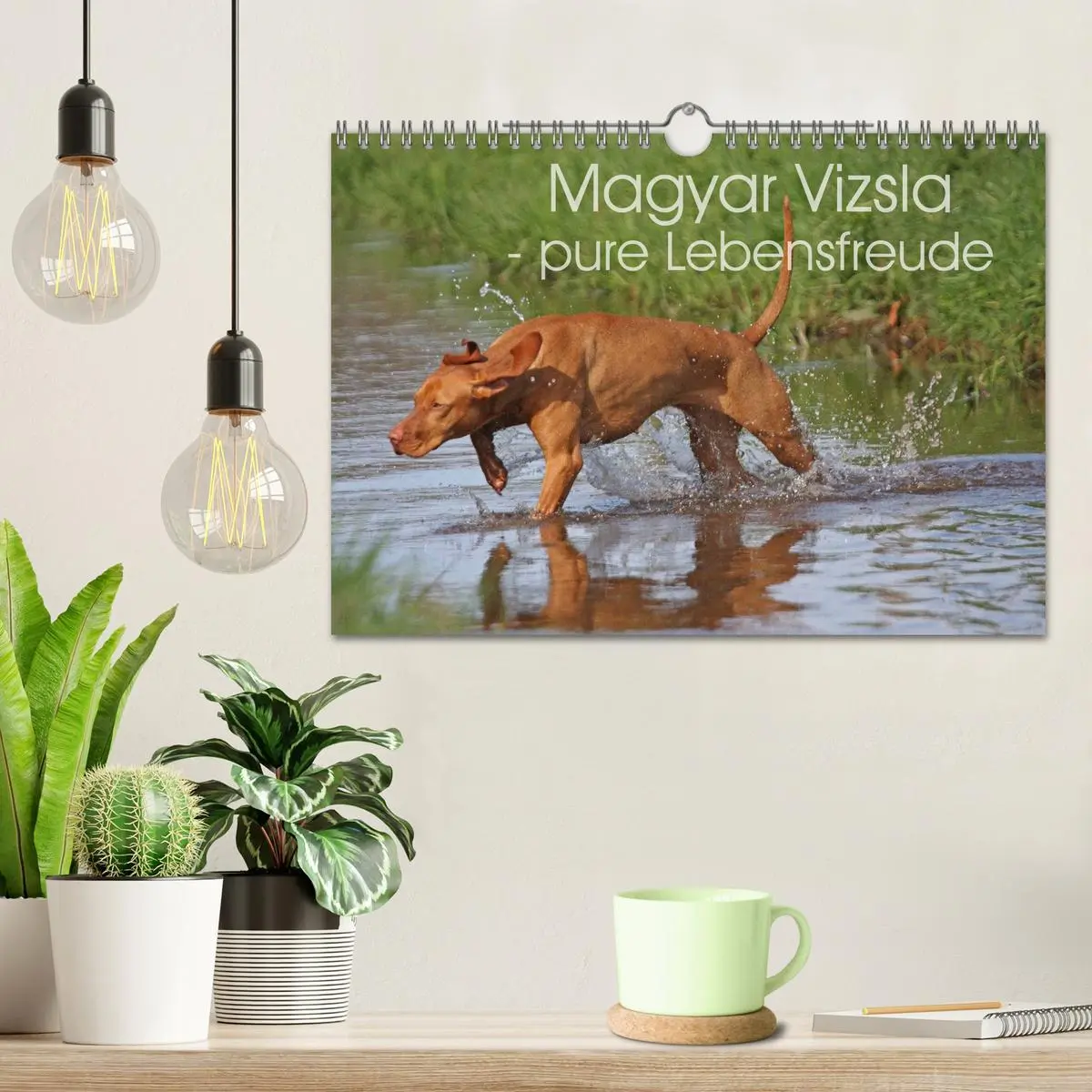 Bild: 9783516077513 | Magyar Vizsla - pure Lebensfreude (Wandkalender 2026 DIN A4 quer),...