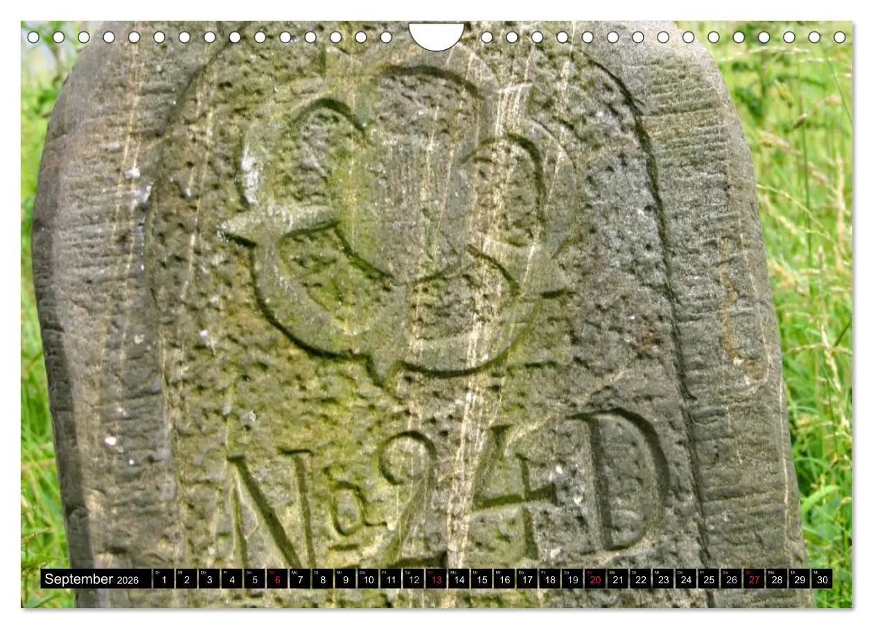 Bild: 9783516217513 | Lippische Rosen (Wandkalender 2026 DIN A4 quer), CALVENDO...