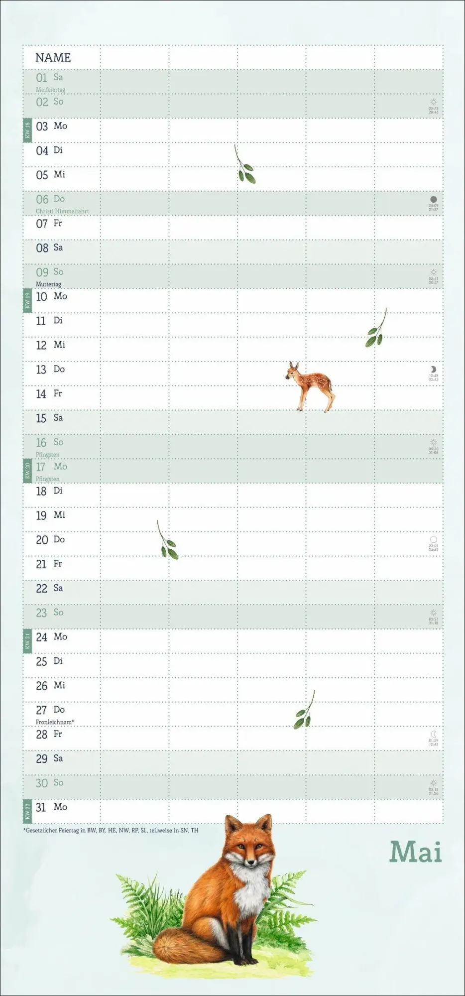 Bild: 9783756417513 | tm Tiere des Waldes Familienplaner 2027 | Kalender | 13 S. | Deutsch