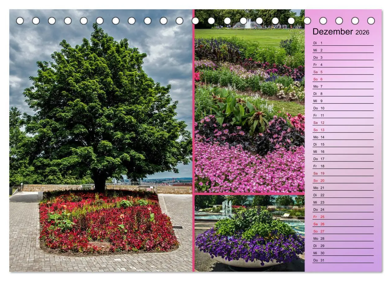 Bild: 9783457427613 | Gartenschau in Erfurt (Tischkalender 2026 DIN A5 quer), CALVENDO...