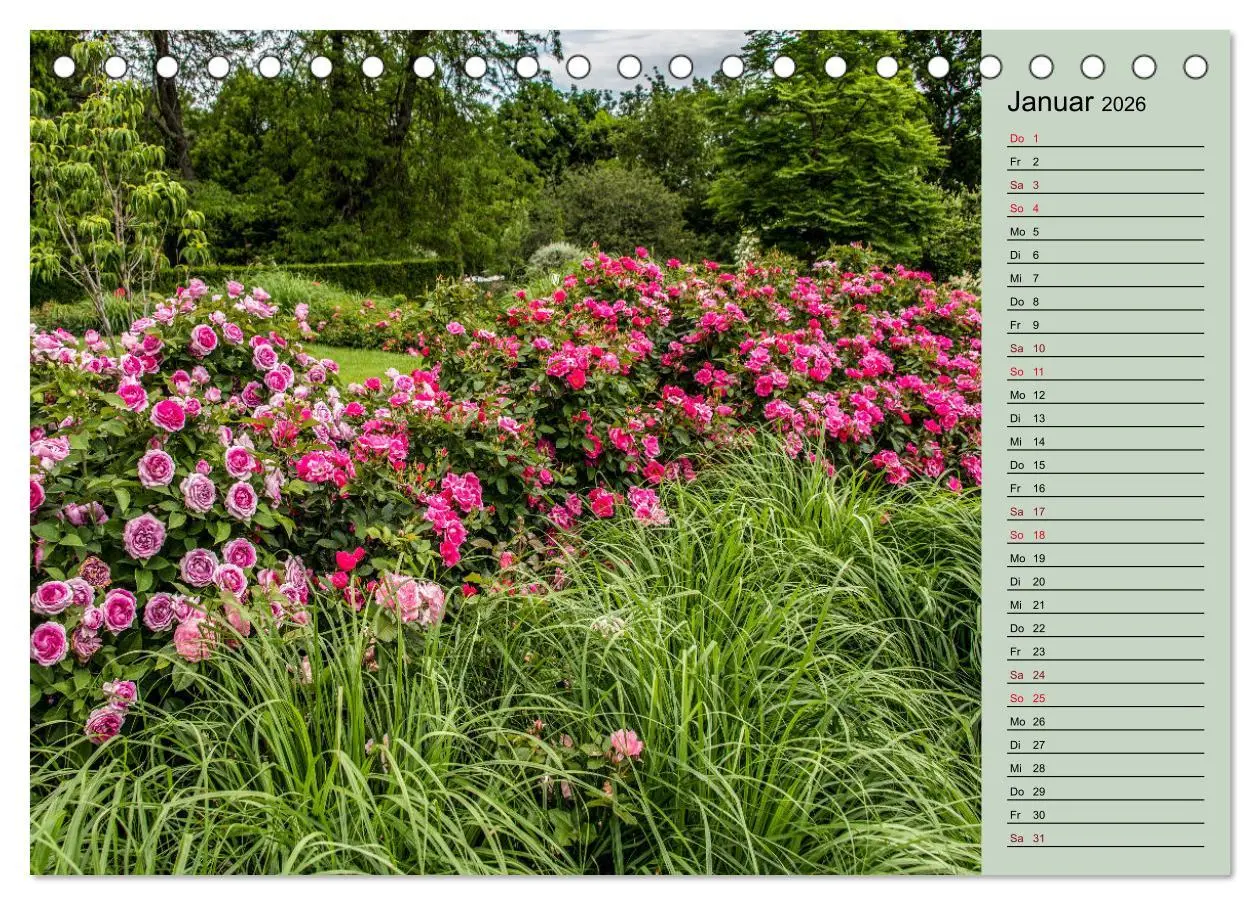 Bild: 9783457427613 | Gartenschau in Erfurt (Tischkalender 2026 DIN A5 quer), CALVENDO...
