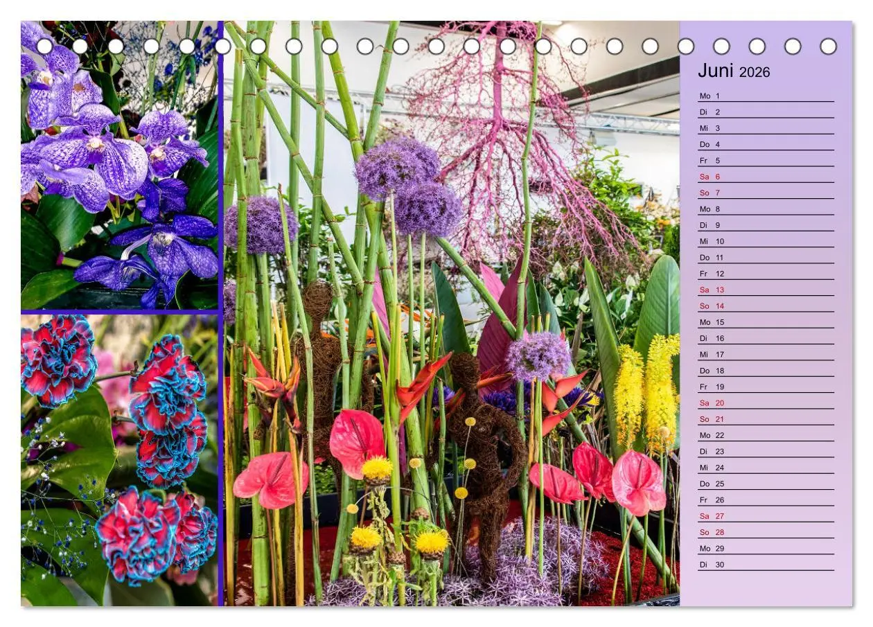 Bild: 9783457427613 | Gartenschau in Erfurt (Tischkalender 2026 DIN A5 quer), CALVENDO...