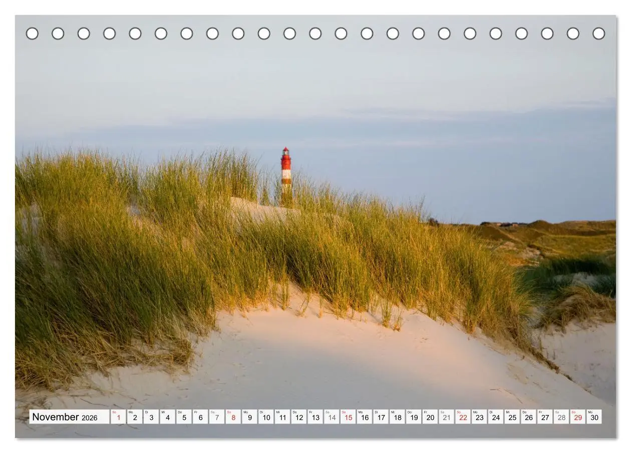 Bild: 9783516067613 | Amrum. Natur und Landschaften (Tischkalender 2026 DIN A5 quer),...