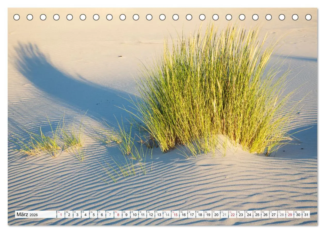 Bild: 9783516067613 | Amrum. Natur und Landschaften (Tischkalender 2026 DIN A5 quer),...