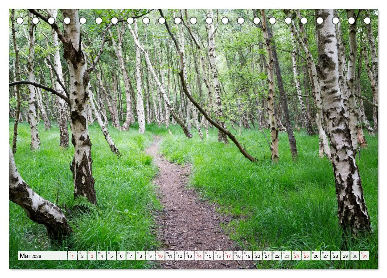 Bild: 9783516067613 | Amrum. Natur und Landschaften (Tischkalender 2026 DIN A5 quer),...