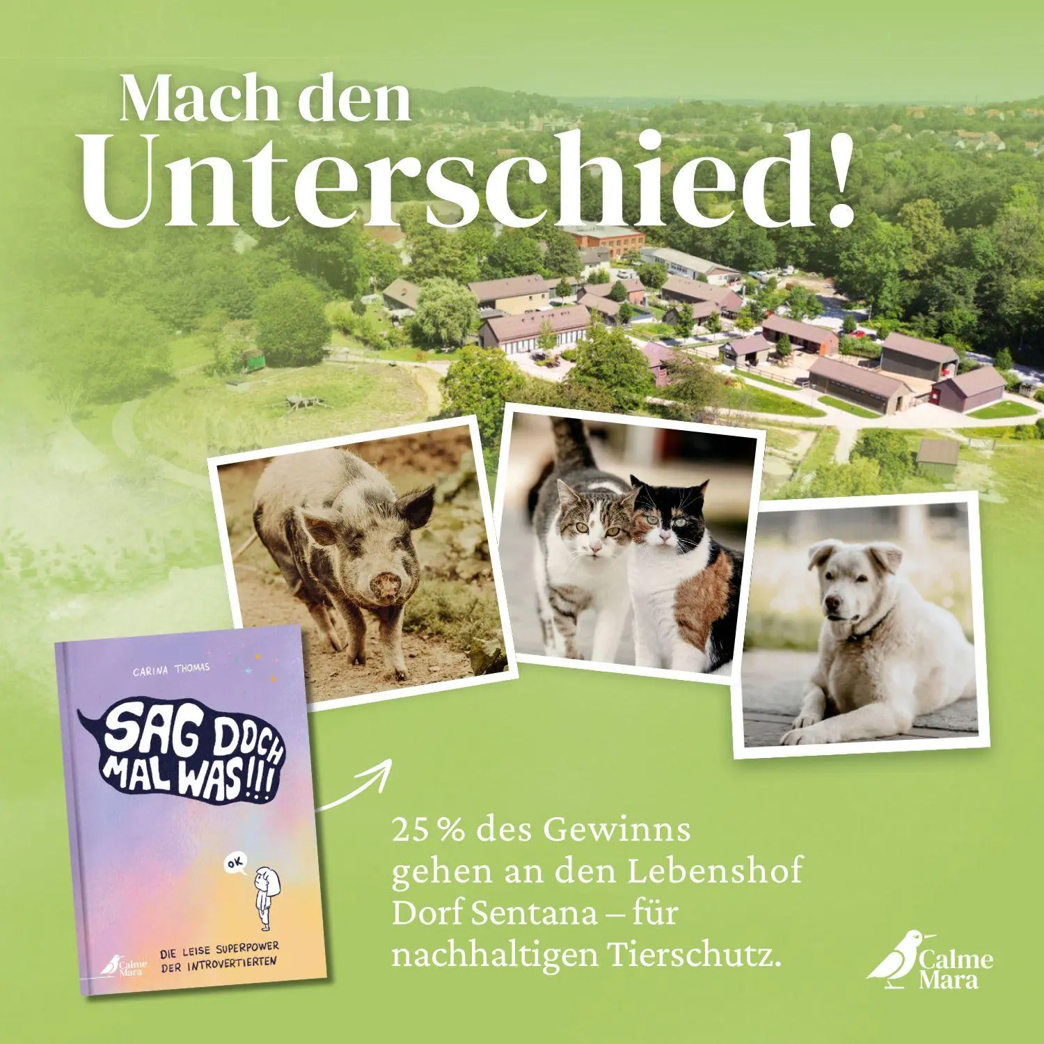 Bild: 9783948877613 | Sag doch mal was! | Carina Thomas | Buch | 96 S. | Deutsch | 2024