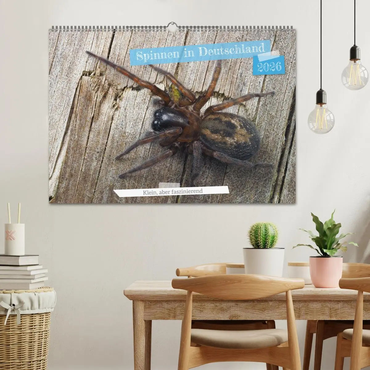 Bild: 9783457347713 | Spinnen in Deutschland (Wandkalender 2026 DIN A2 quer), CALVENDO...