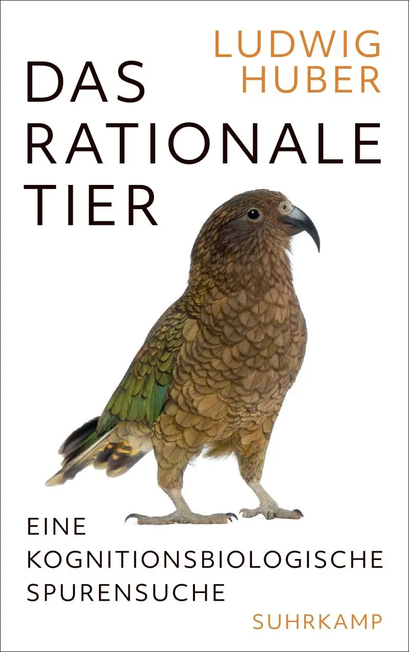 Cover: 9783518587713 | Das rationale Tier | Eine kognitionsbiologische Spurensuche | Huber