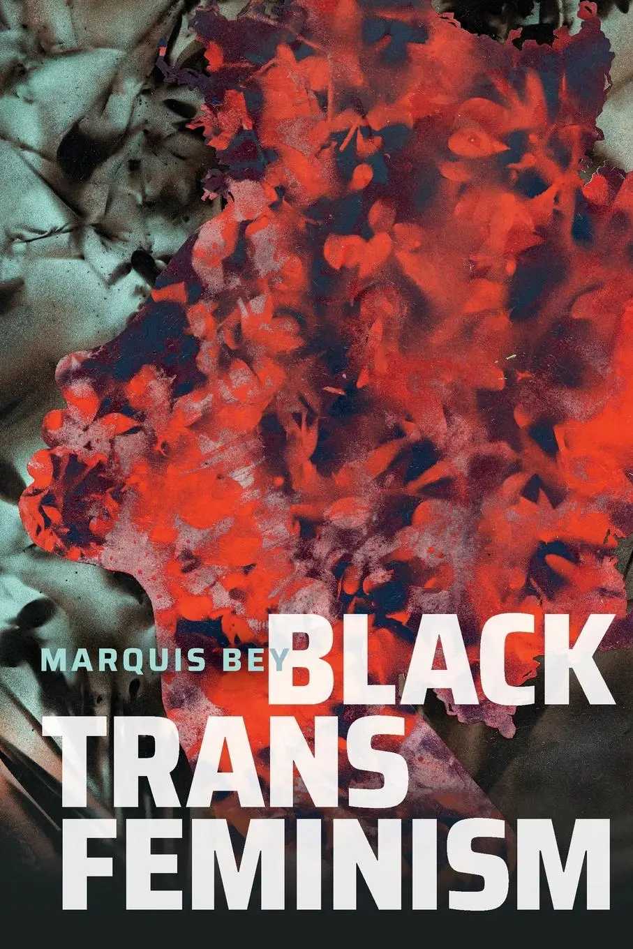Cover: 9781478017813 | Black Trans Feminism | Marquis Bey | Taschenbuch | Englisch | 2022
