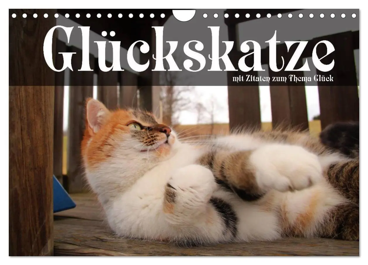 Cover: 9783516117813 | Glückskatze - Mit Zitaten zum Thema Glück (Wandkalender 2026 DIN A4...