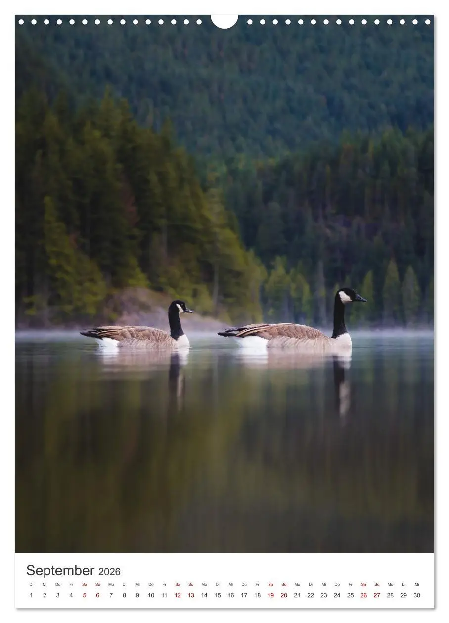 Bild: 9783516357813 | Kanada - Zwischen Atlantik und Pazifik. (Wandkalender 2026 DIN A3...