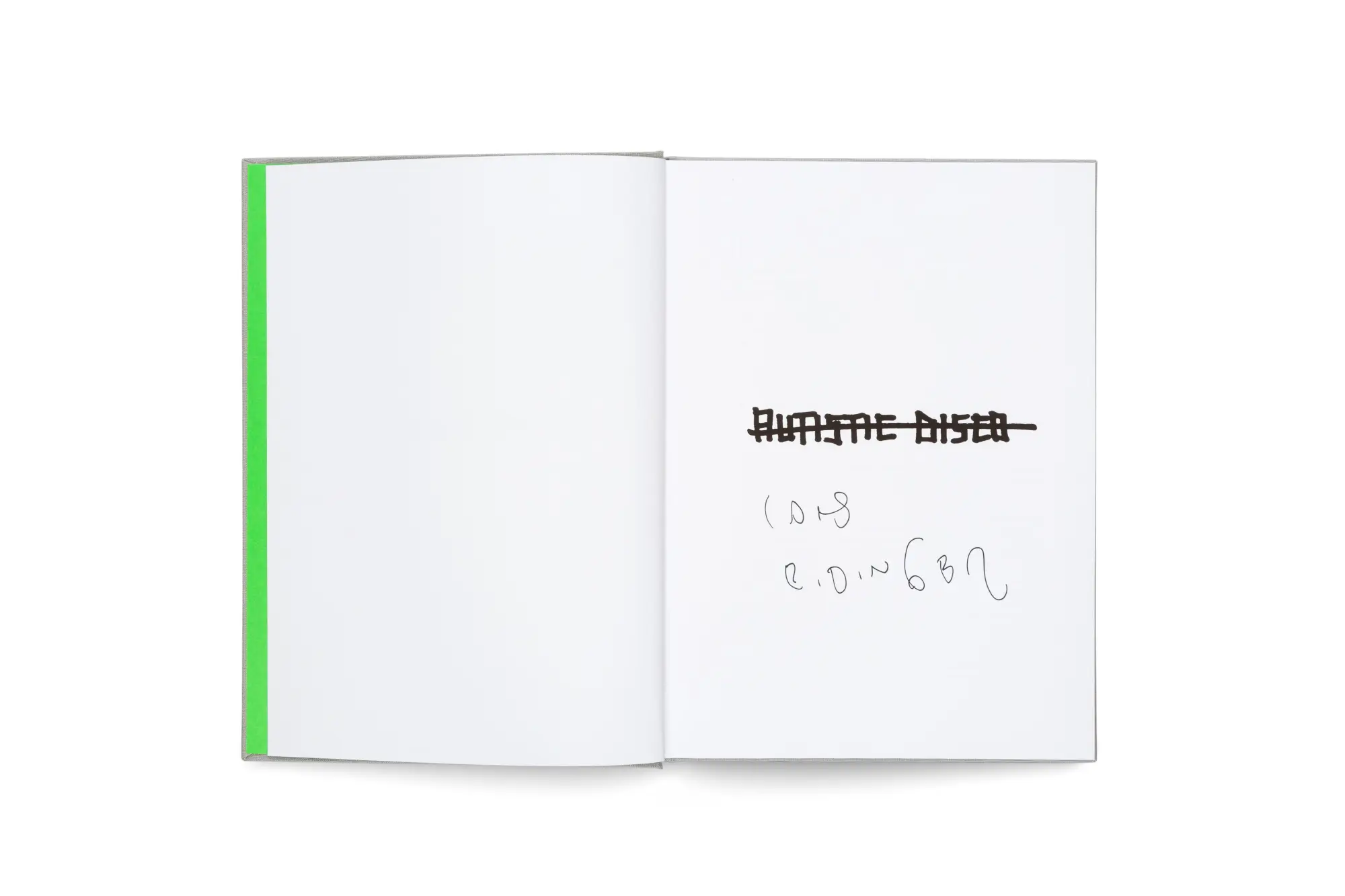 Bild: 9783775747813 | Lars Eidinger | Autistic Disco | Lars/Strauß, Simon Eidinger | Buch