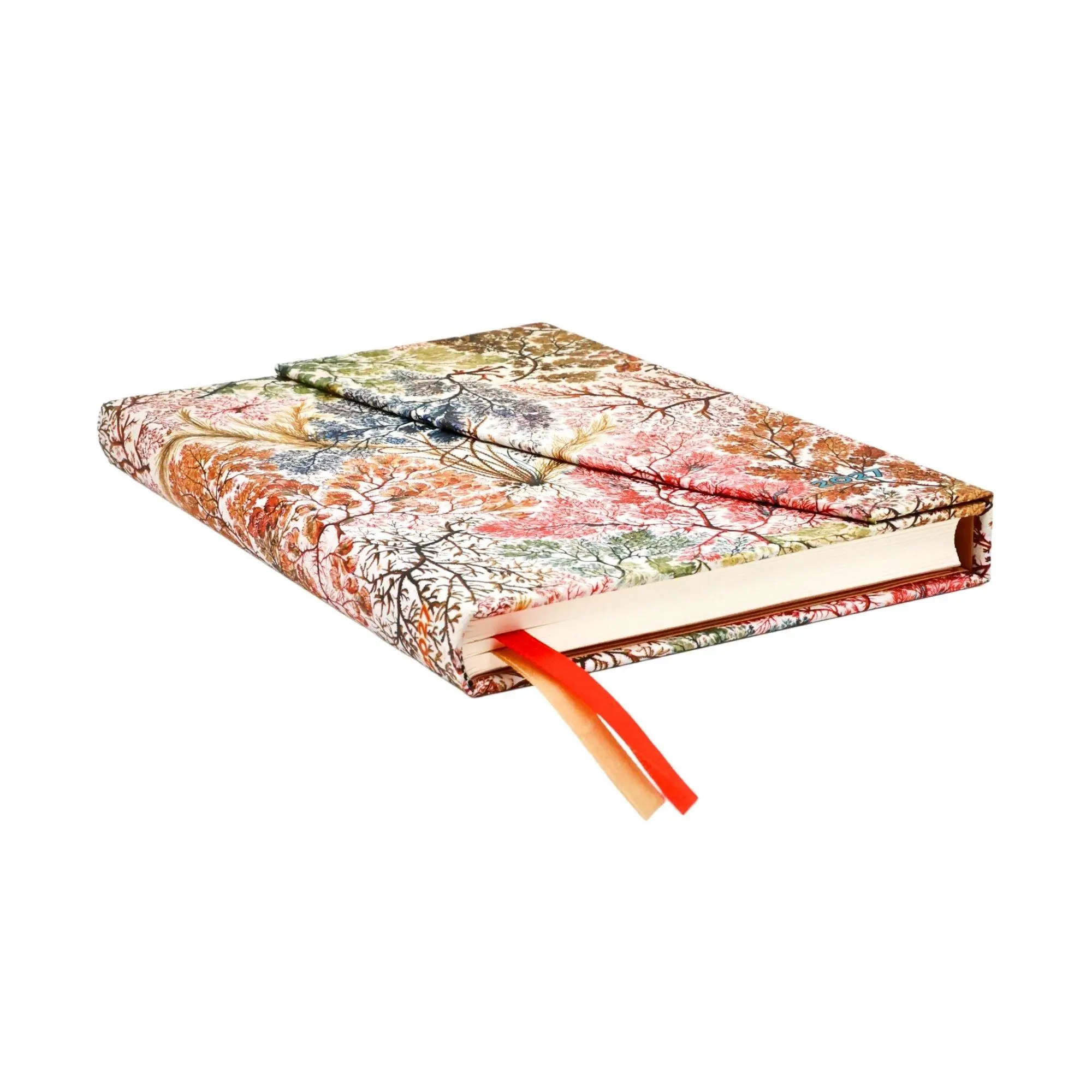 Bild: 9780349717913 | 12-Monatskalender 2027 Anemone Midi Verso | Paperblanks | Buch | 2027