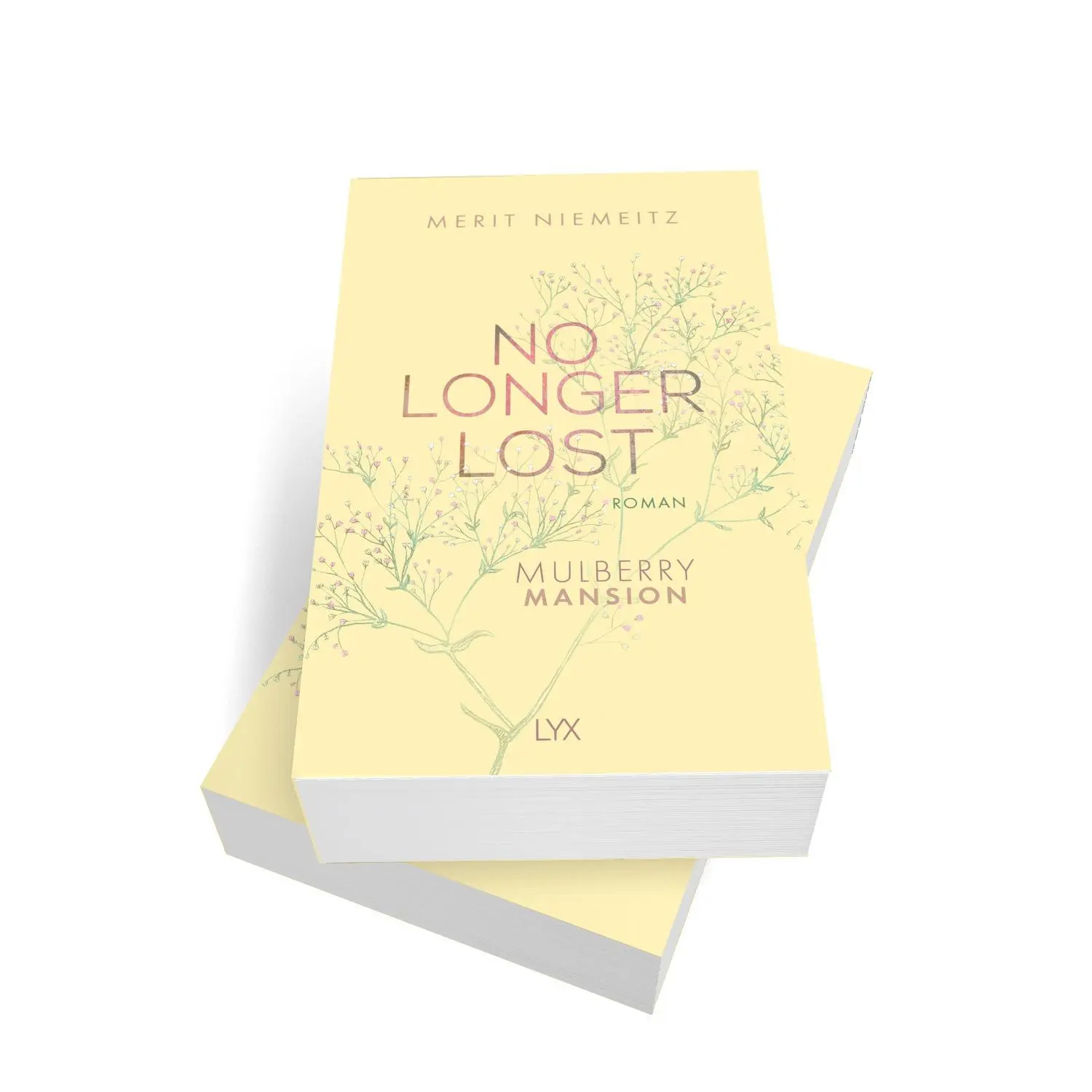 Bild: 9783736318113 | No Longer Lost - Mulberry Mansion | Merit Niemeitz | Taschenbuch | LYX