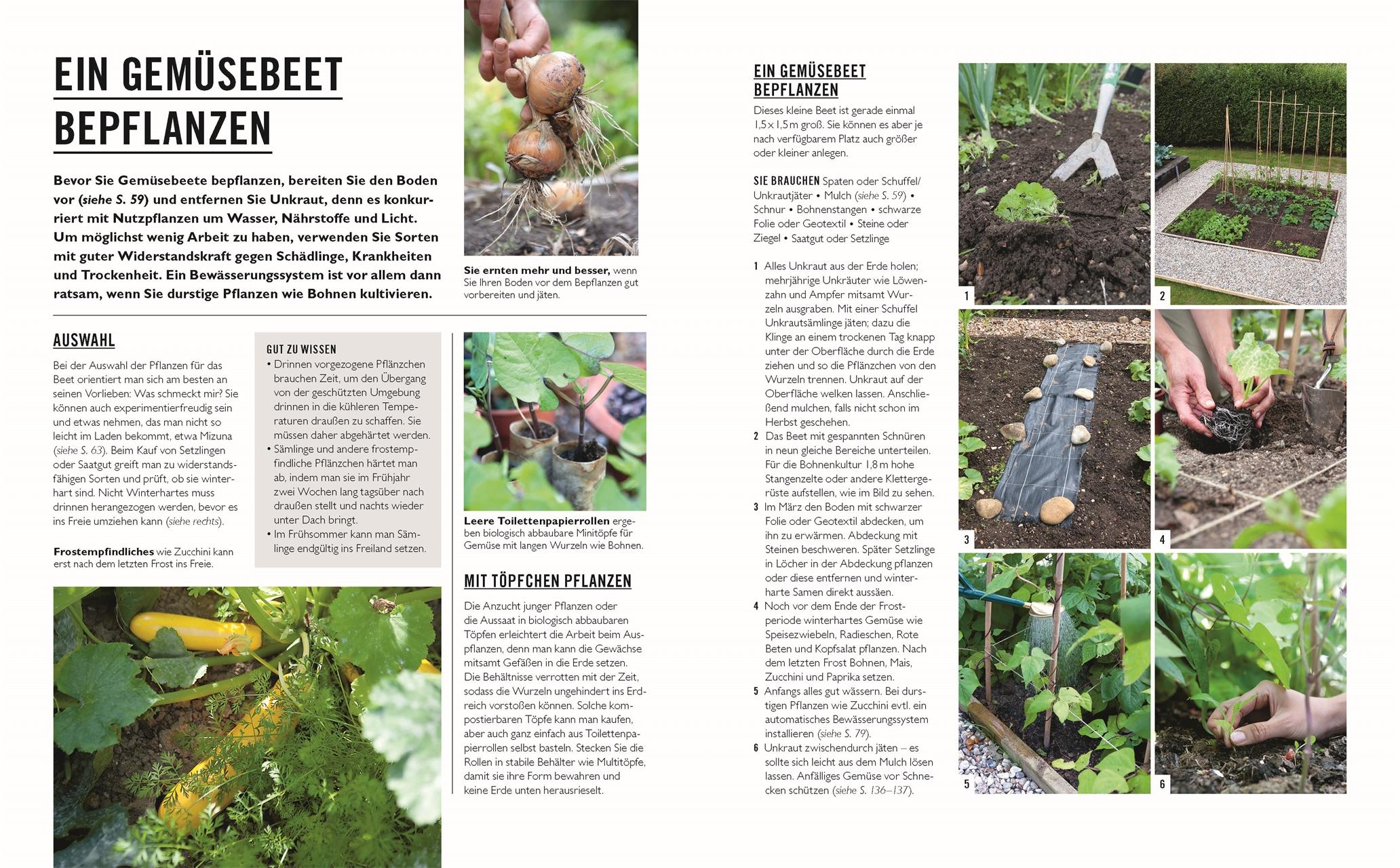 Bild: 9783831048113 | Grünes Gartenwissen. Gärtnern mit wenig Aufwand | Zia Allaway | Buch