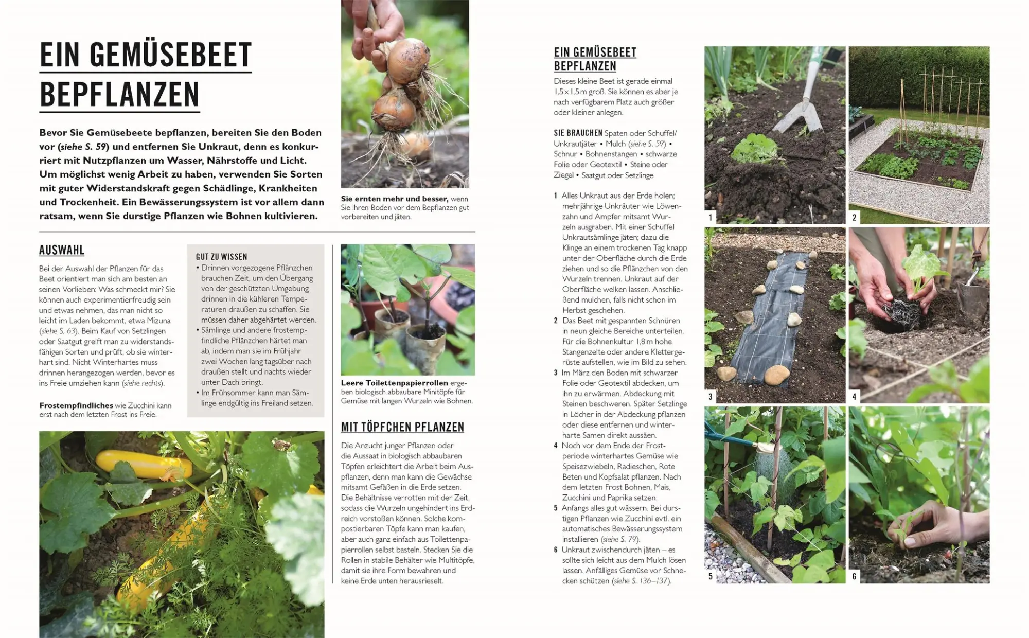 Bild: 9783831048113 | Grünes Gartenwissen. Gärtnern mit wenig Aufwand | Zia Allaway | Buch