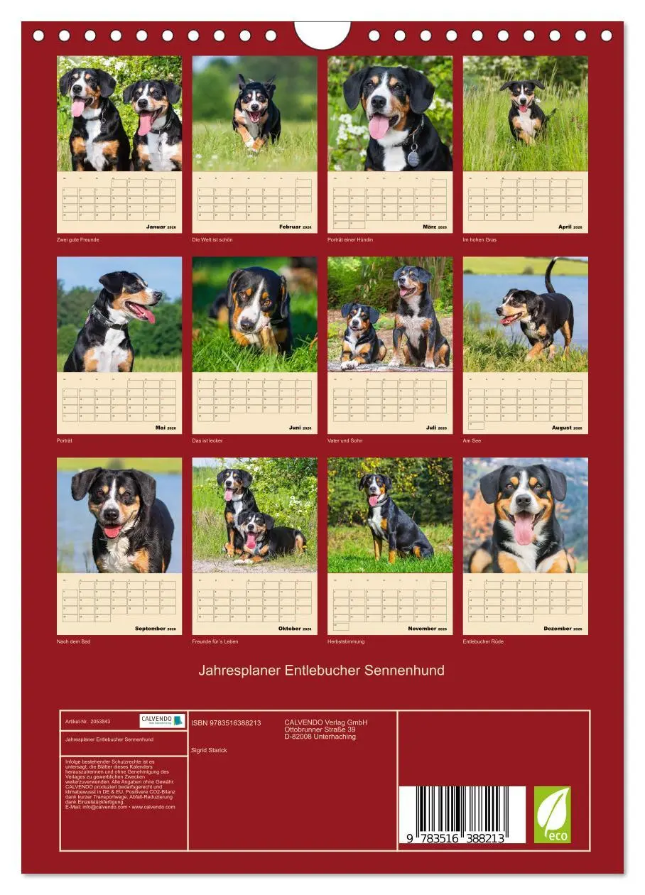 Bild: 9783516388213 | Jahresplaner Entlebucher Sennenhund (Wandkalender 2026 DIN A4...