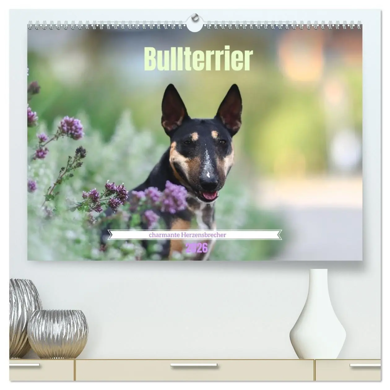Cover: 9783516698213 | Bullterrier - charmante Herzensbrecher (hochwertiger Premium...