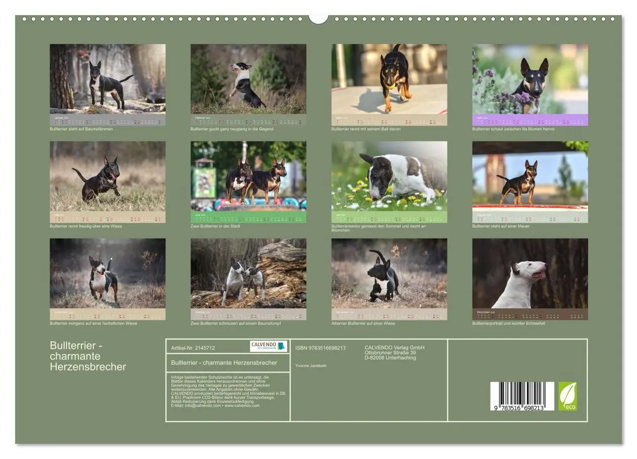 Bild: 9783516698213 | Bullterrier - charmante Herzensbrecher (hochwertiger Premium...