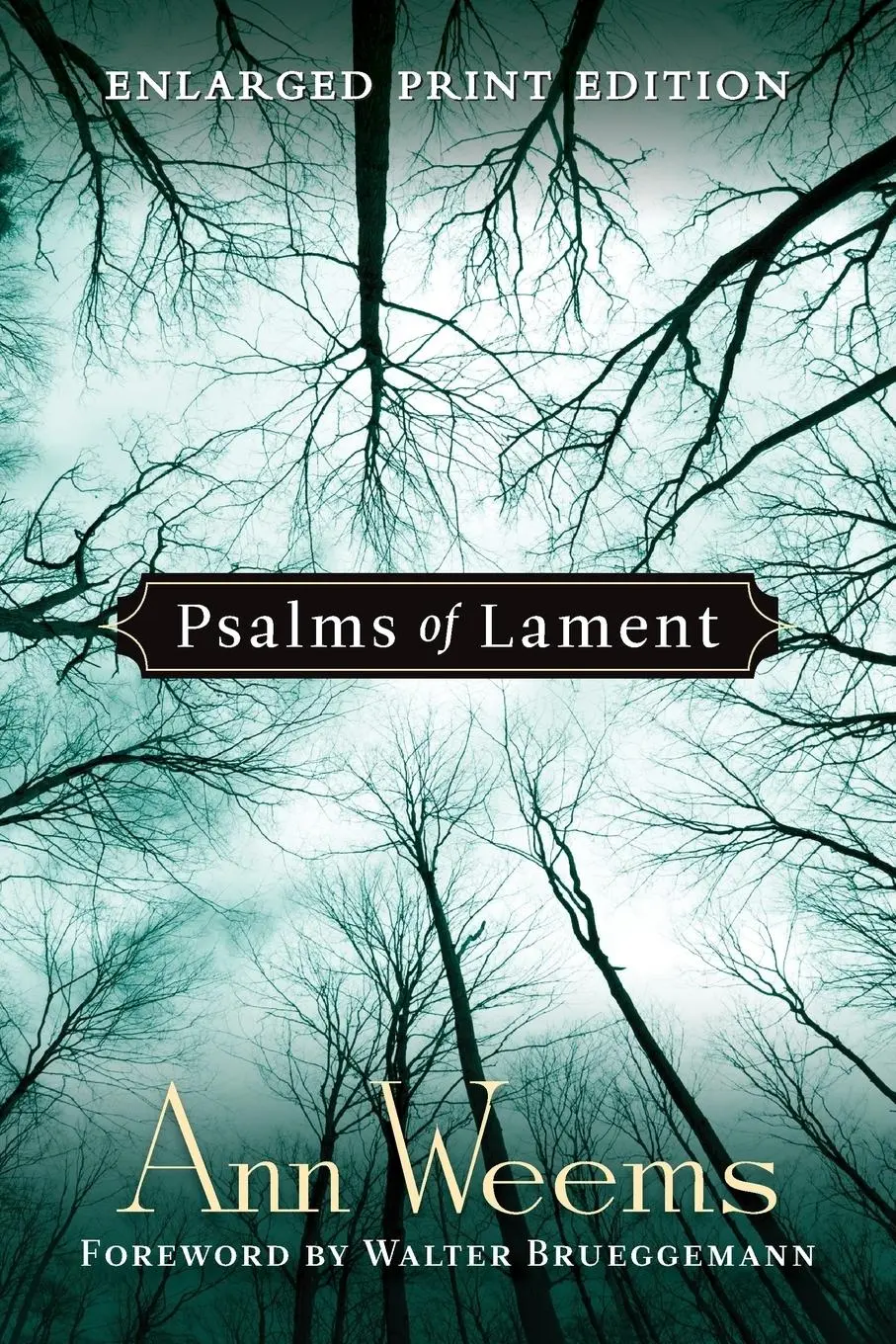 Cover: 9780664258313 | Psalms of Lament | Ann Weems | Taschenbuch | Kartoniert / Broschiert