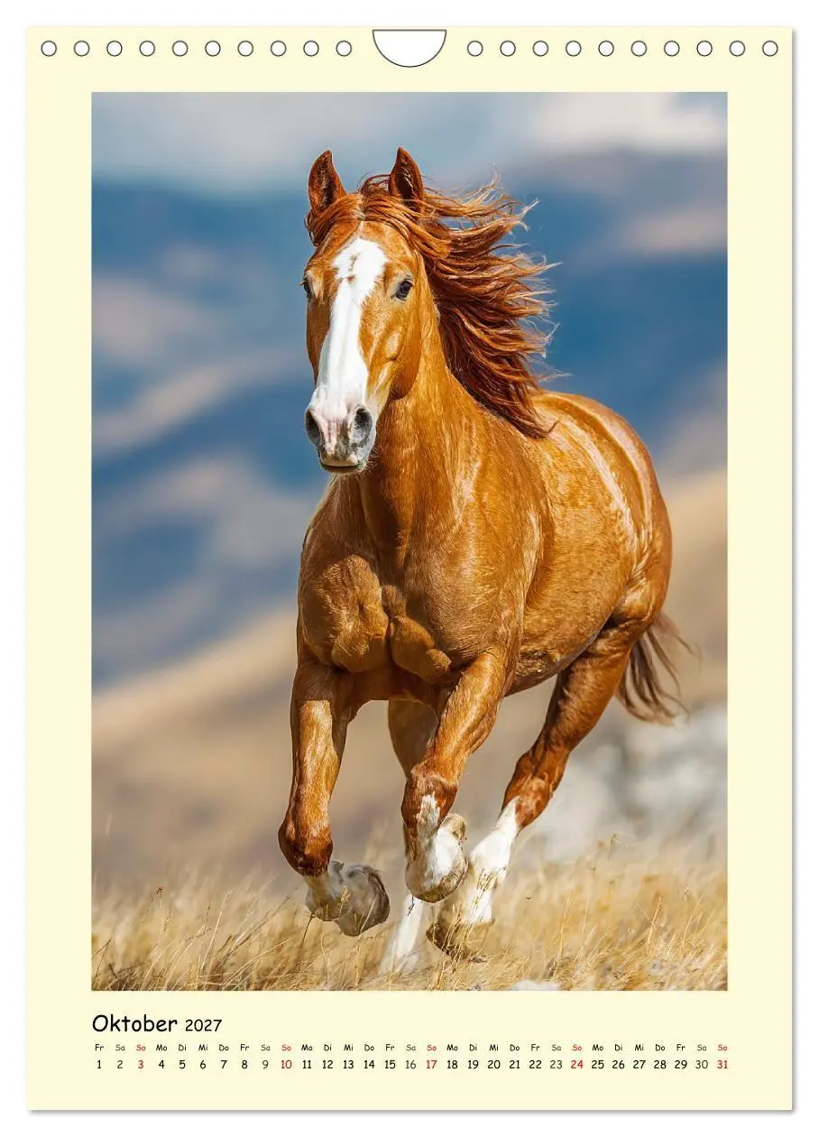 Bild: 9783516758313 | Westernpferde. Quarter Horse und Paint Horse auf dem Farmland...