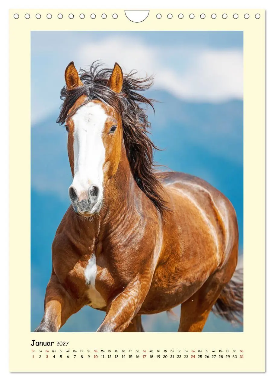 Bild: 9783516758313 | Westernpferde. Quarter Horse und Paint Horse auf dem Farmland...