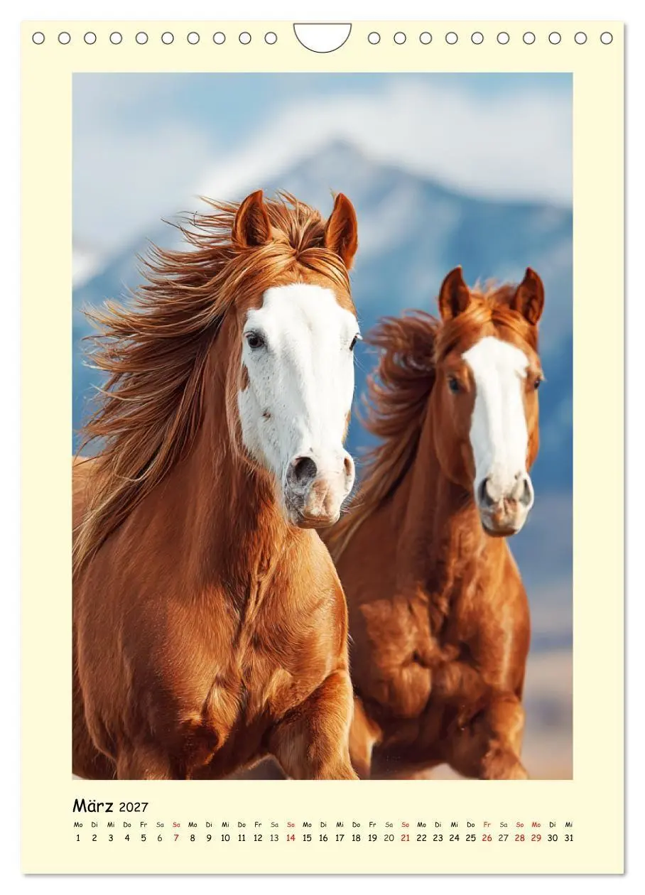 Bild: 9783516758313 | Westernpferde. Quarter Horse und Paint Horse auf dem Farmland...