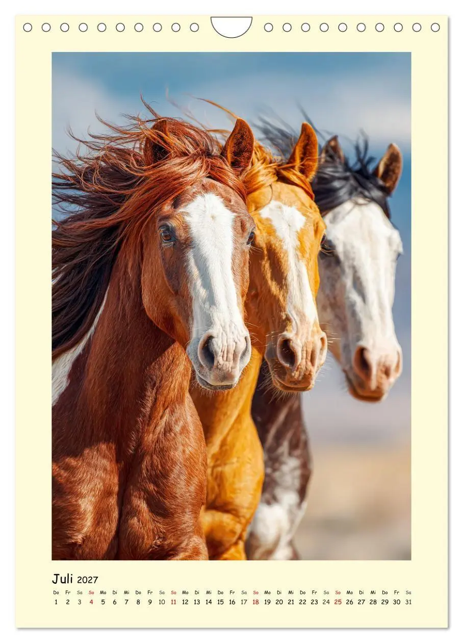 Bild: 9783516758313 | Westernpferde. Quarter Horse und Paint Horse auf dem Farmland...