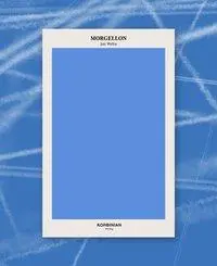Cover: 9783981758313 | Morgellon | Jan Wehn | Taschenbuch | Geklebt | 75 S. | Deutsch | 2020