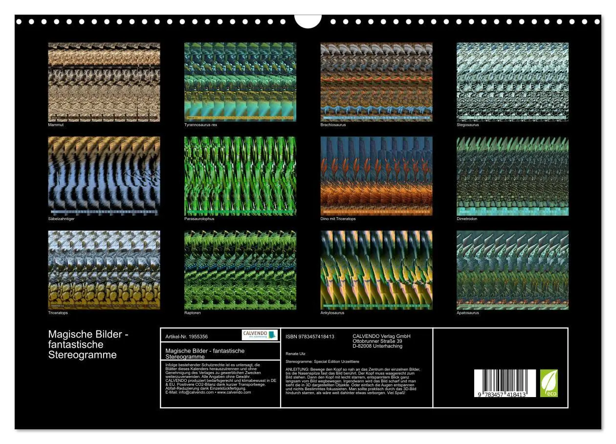 Bild: 9783457418413 | Magische Bilder - fantastische Stereogramme (Wandkalender 2026 DIN...