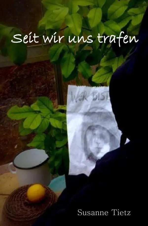 Cover: 9783741858413 | Seit wir uns trafen | Susanne Tietz | Taschenbuch | 240 S. | Deutsch