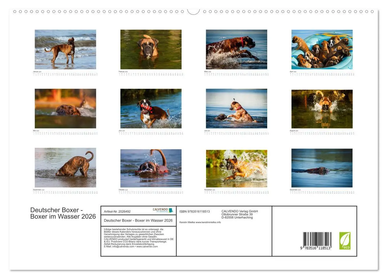 Bild: 9783516118513 | Deutscher Boxer - Boxer im Wasser 2026 (hochwertiger Premium...