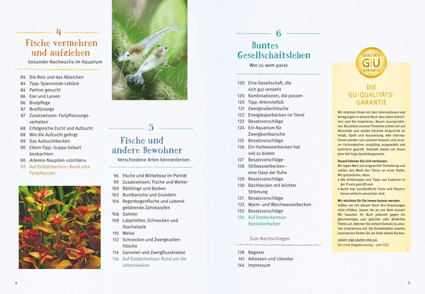 Bild: 9783833848513 | Faszinierendes Aquarium | Ulrich Schliewen | Taschenbuch | 144 S.