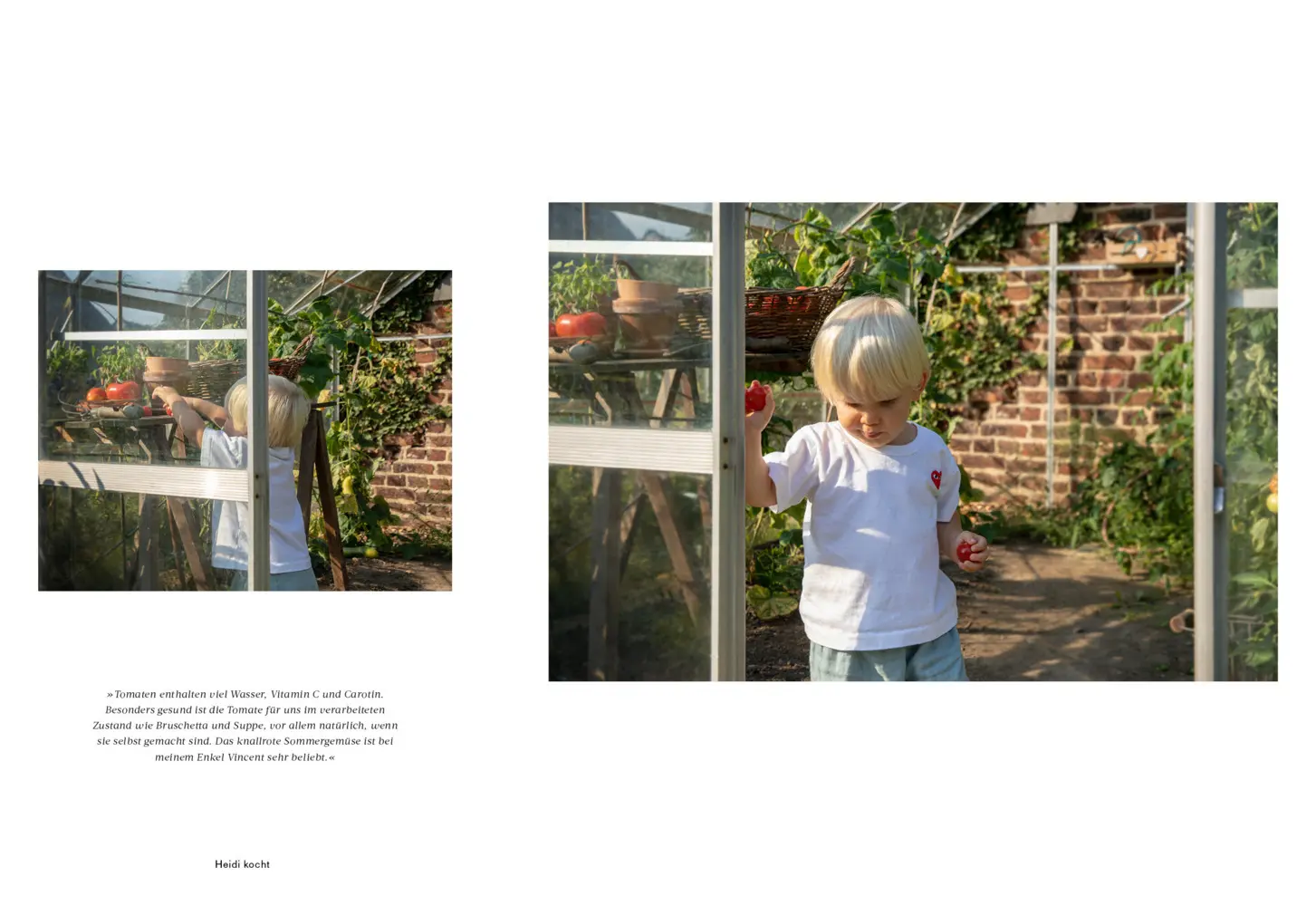 Bild: 9783966988513 | HEIDI KOCHT vegetarisch | Heidi Heller | Buch | 280 S. | Deutsch