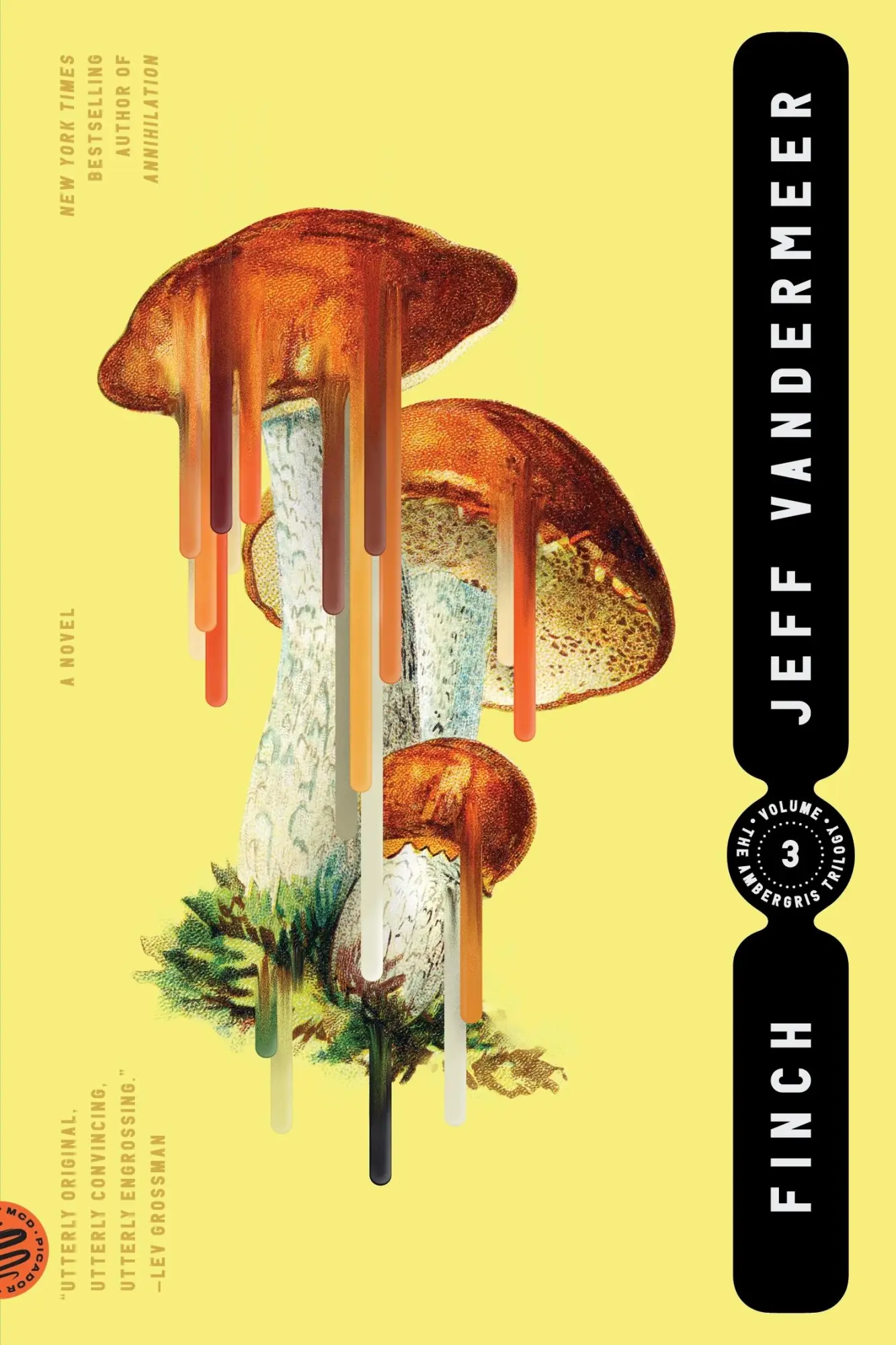Cover: 9780374538613 | Finch | Jeff VanderMeer | Taschenbuch | Englisch | 2022 | Picador USA