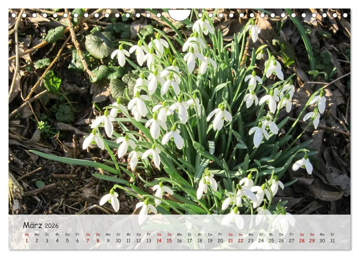 Bild: 9783457328613 | Vier Jahreszeiten - Eine Welt (Wandkalender 2026 DIN A4 quer),...