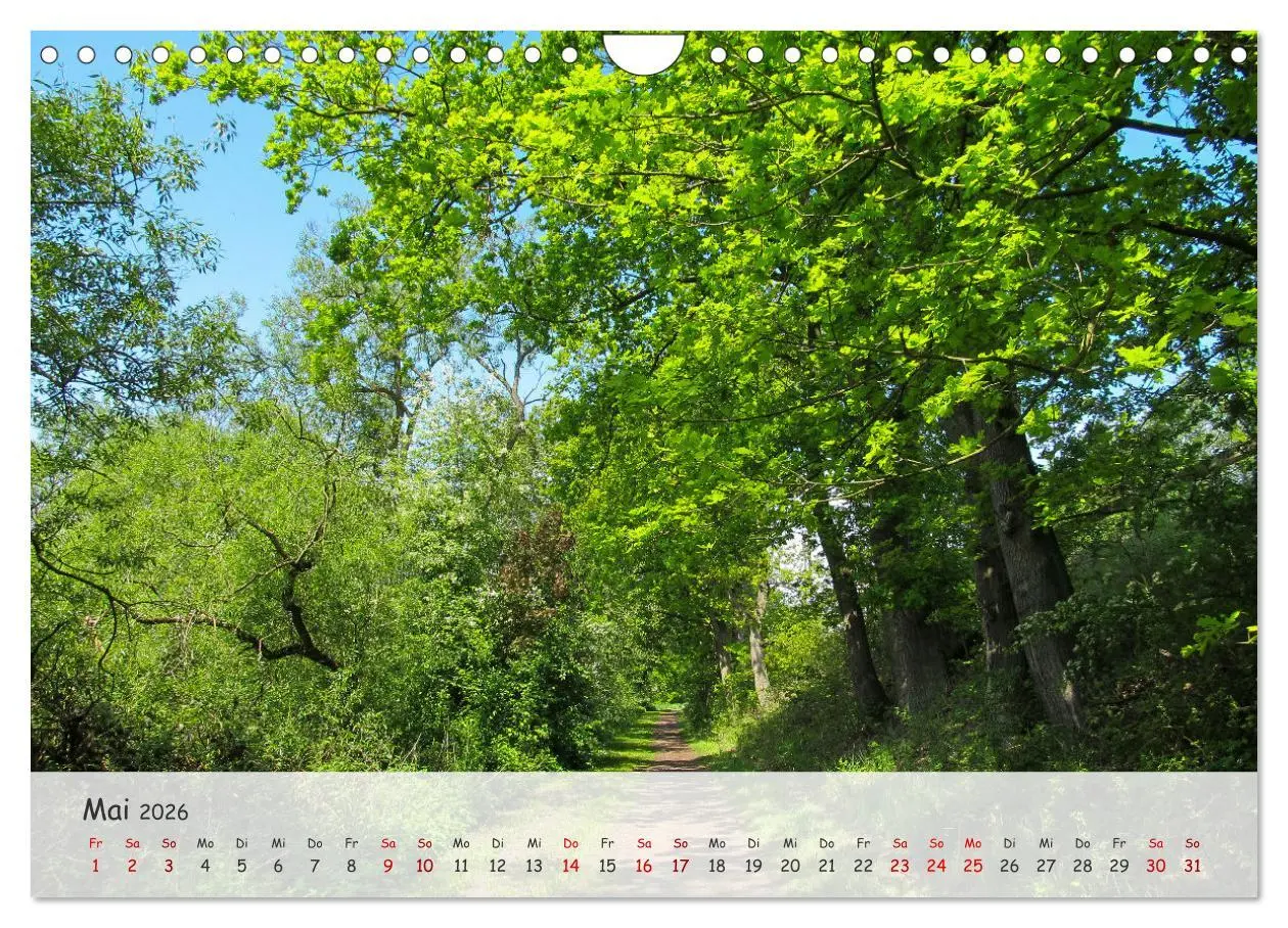 Bild: 9783457328613 | Vier Jahreszeiten - Eine Welt (Wandkalender 2026 DIN A4 quer),...