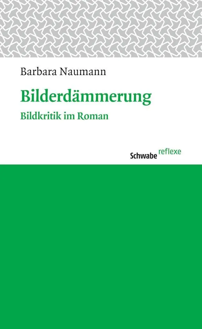 Cover: 9783796528613 | Bilderdämmerung | Bildkritik im Roman, Schwabe reflexe 23 23 | Naumann