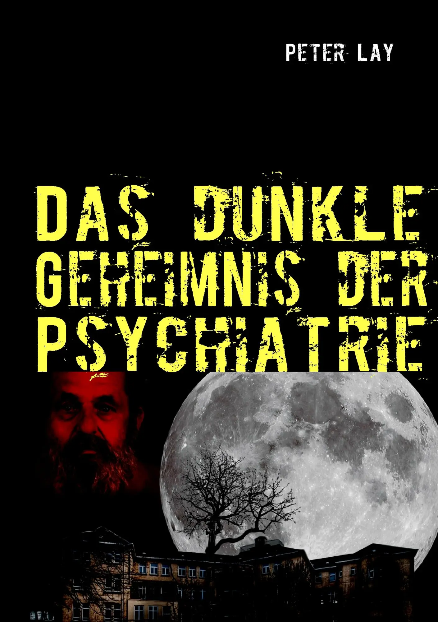 Cover: 9783842368613 | Das dunkle Geheimnis der Psychiatrie | Peter Lay | Taschenbuch | 2011