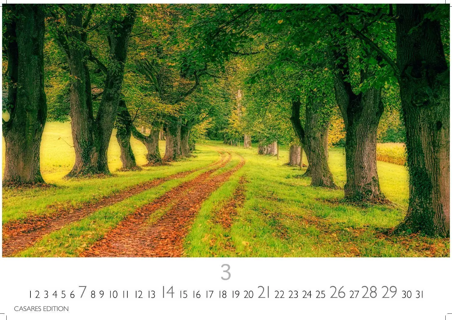 Bild: 9781835248713 | Englische Gärten Kalender 2027 - Wandkalender Fotokalender...