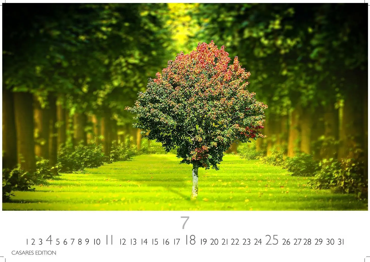 Bild: 9781835248713 | Englische Gärten Kalender 2027 - Wandkalender Fotokalender...