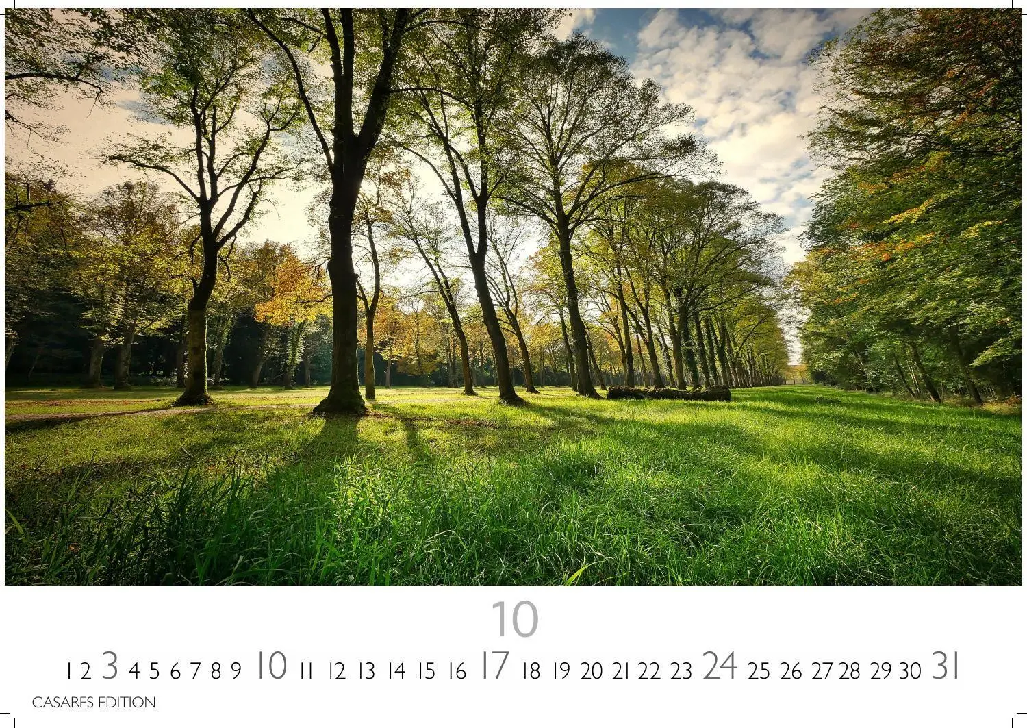Bild: 9781835248713 | Englische Gärten Kalender 2027 - Wandkalender Fotokalender...