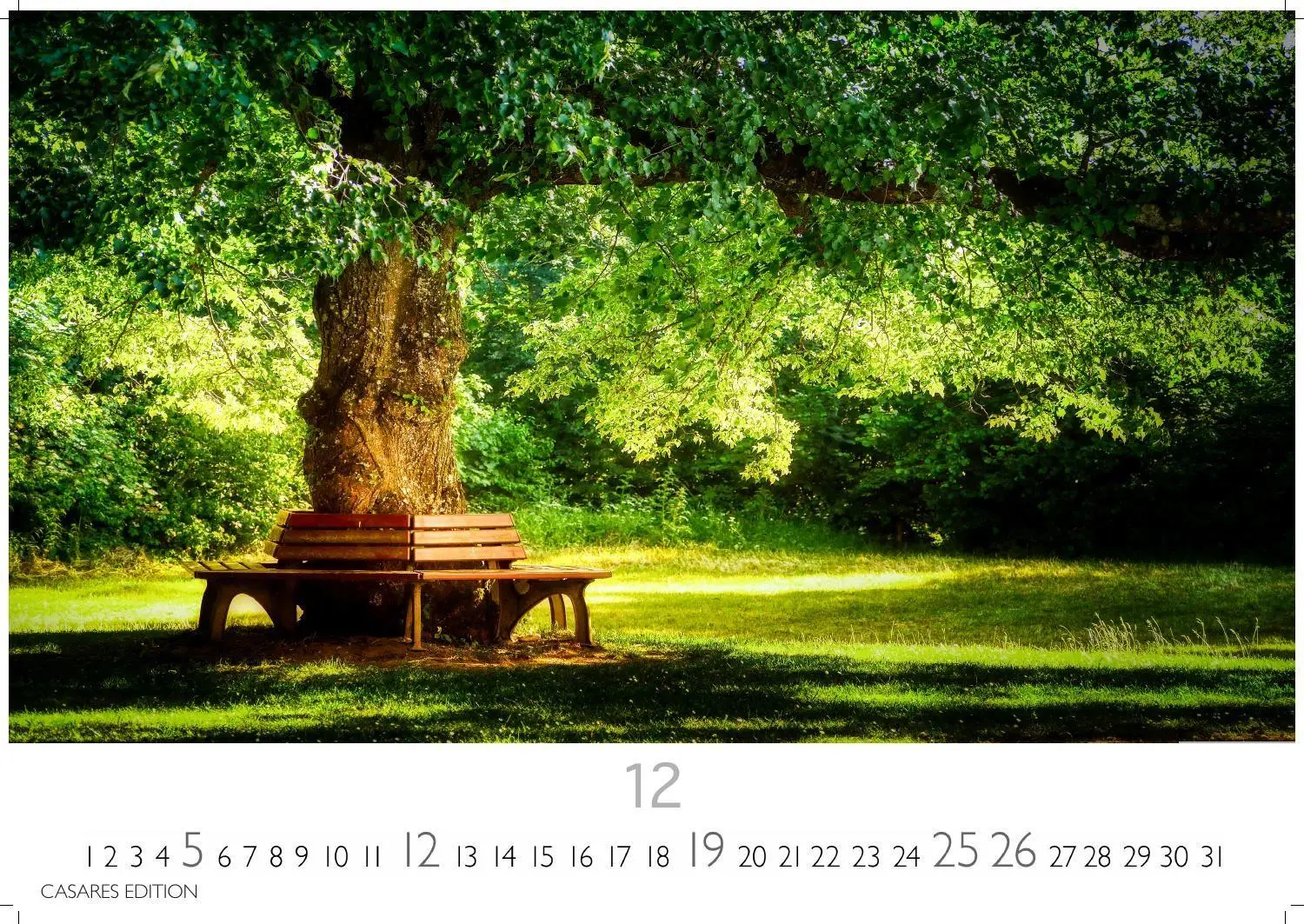 Bild: 9781835248713 | Englische Gärten Kalender 2027 - Wandkalender Fotokalender...
