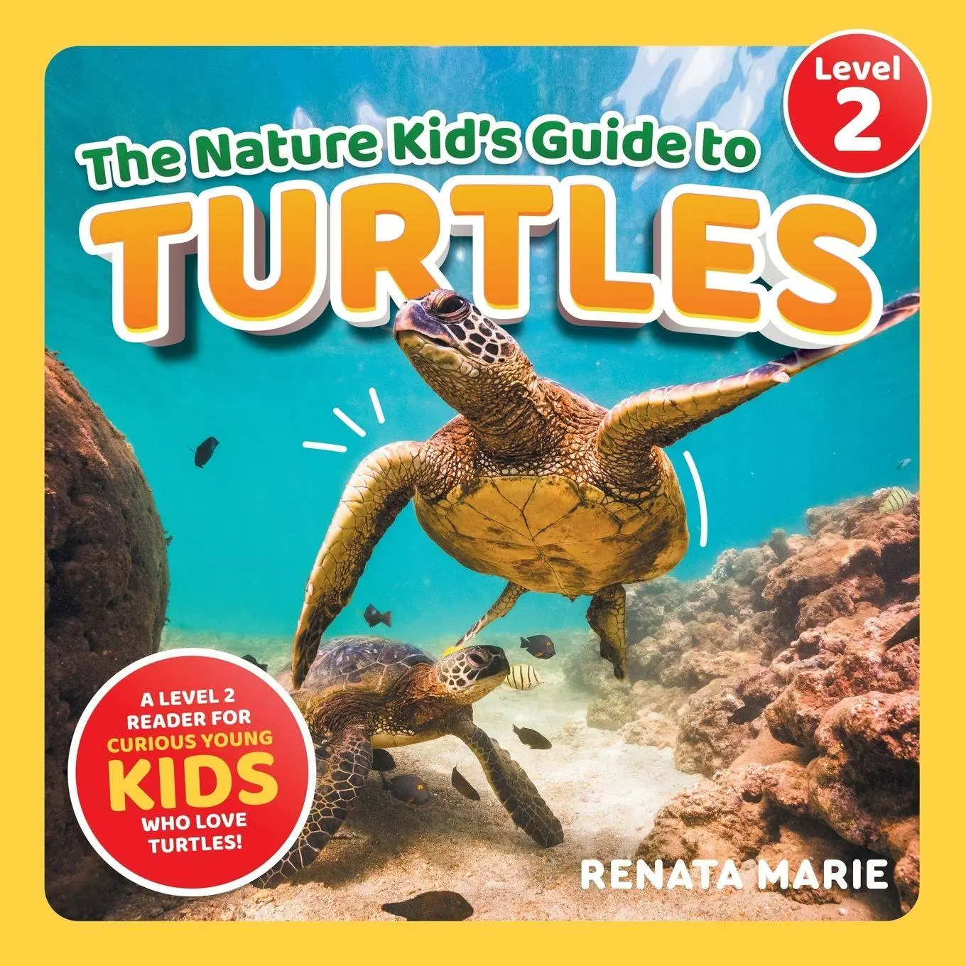 Cover: 9781954288713 | The Nature Kid's Guide to Turtles | Renata Marie | Taschenbuch | 2023