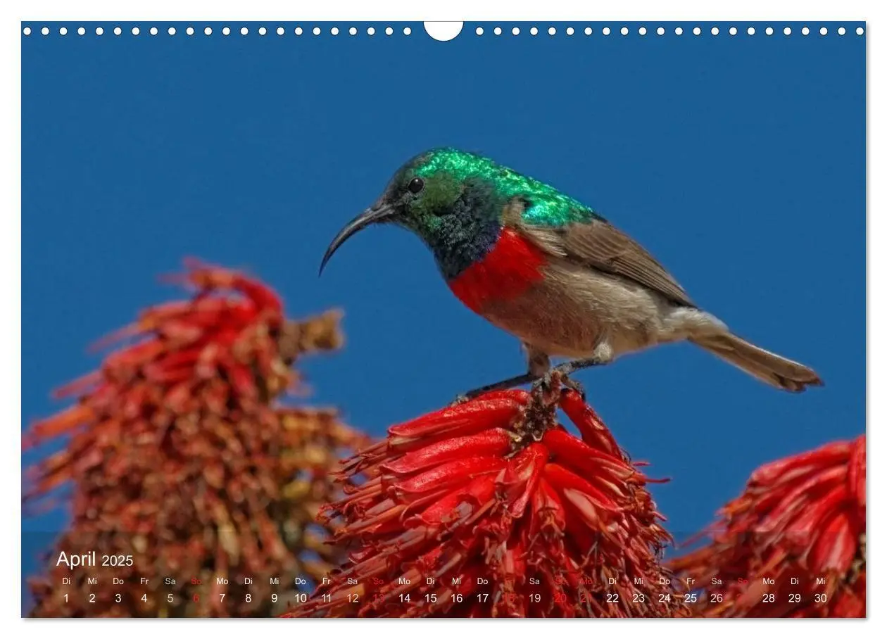 Bild: 9783435768813 | Zimbabwe (Wandkalender 2025 DIN A3 quer), CALVENDO Monatskalender