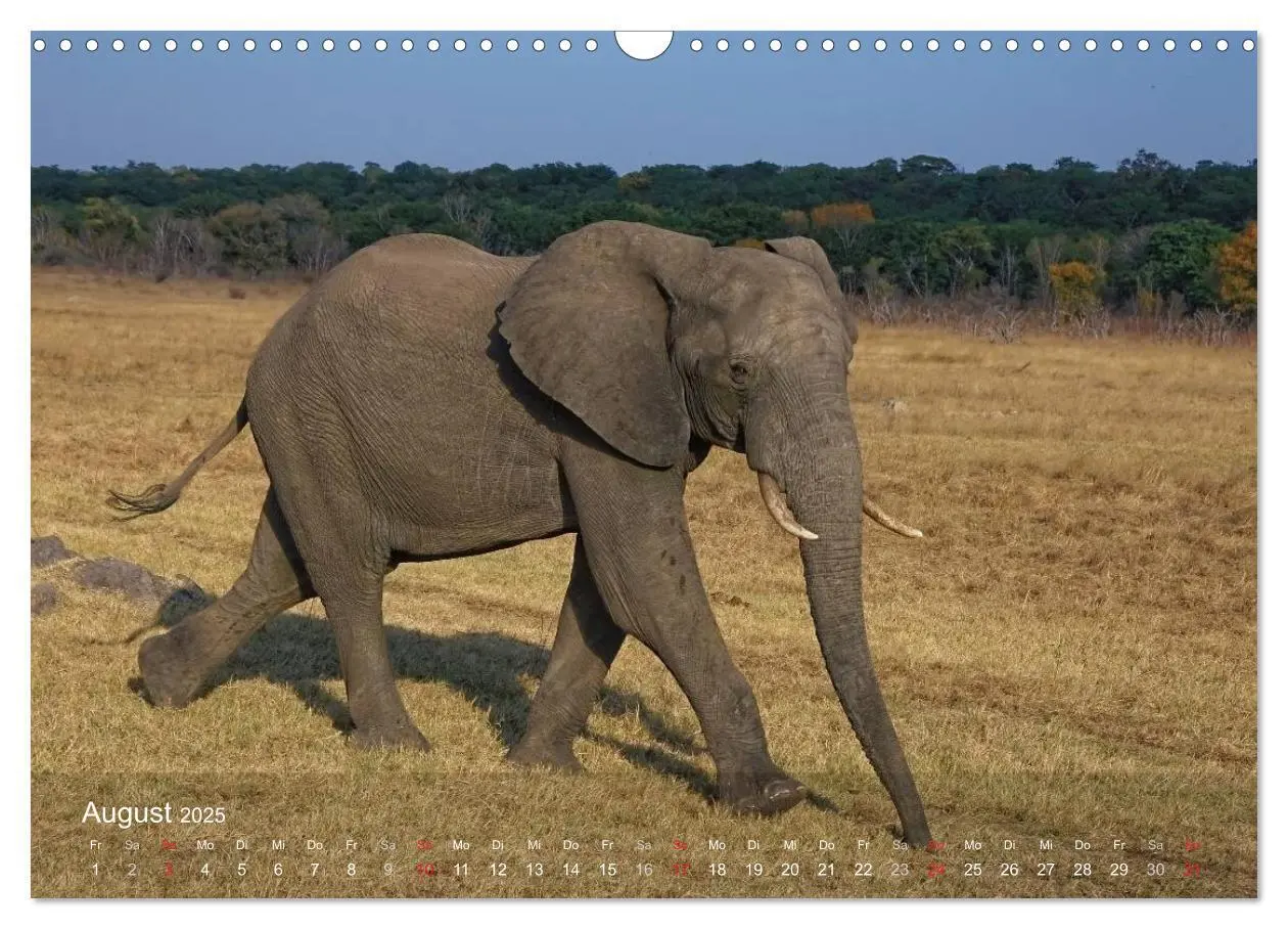 Bild: 9783435768813 | Zimbabwe (Wandkalender 2025 DIN A3 quer), CALVENDO Monatskalender