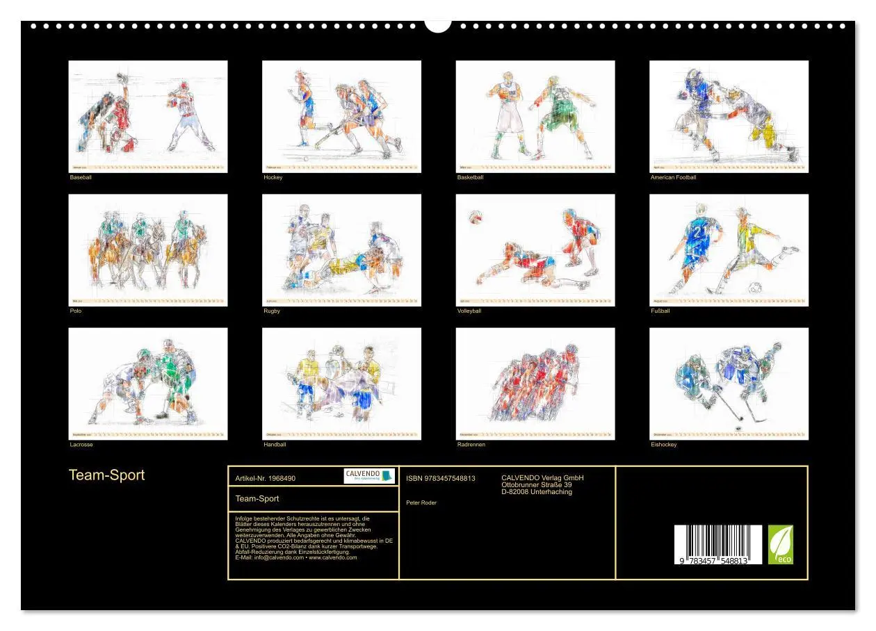 Bild: 9783457548813 | Team-Sport (hochwertiger Premium Wandkalender 2026 DIN A2 quer),...