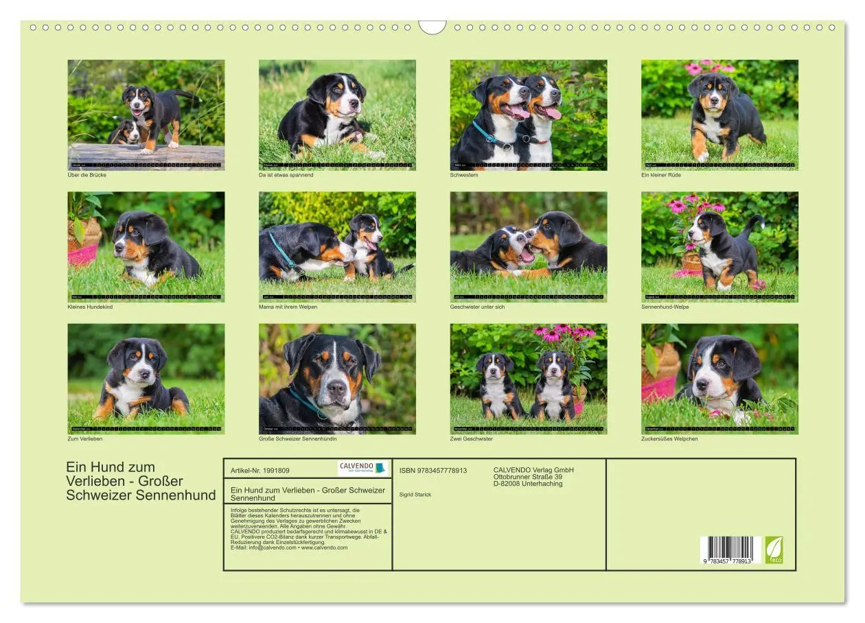 Bild: 9783457778913 | Ein Hund zum Verlieben - Großer Schweizer Sennenhund (Wandkalender...